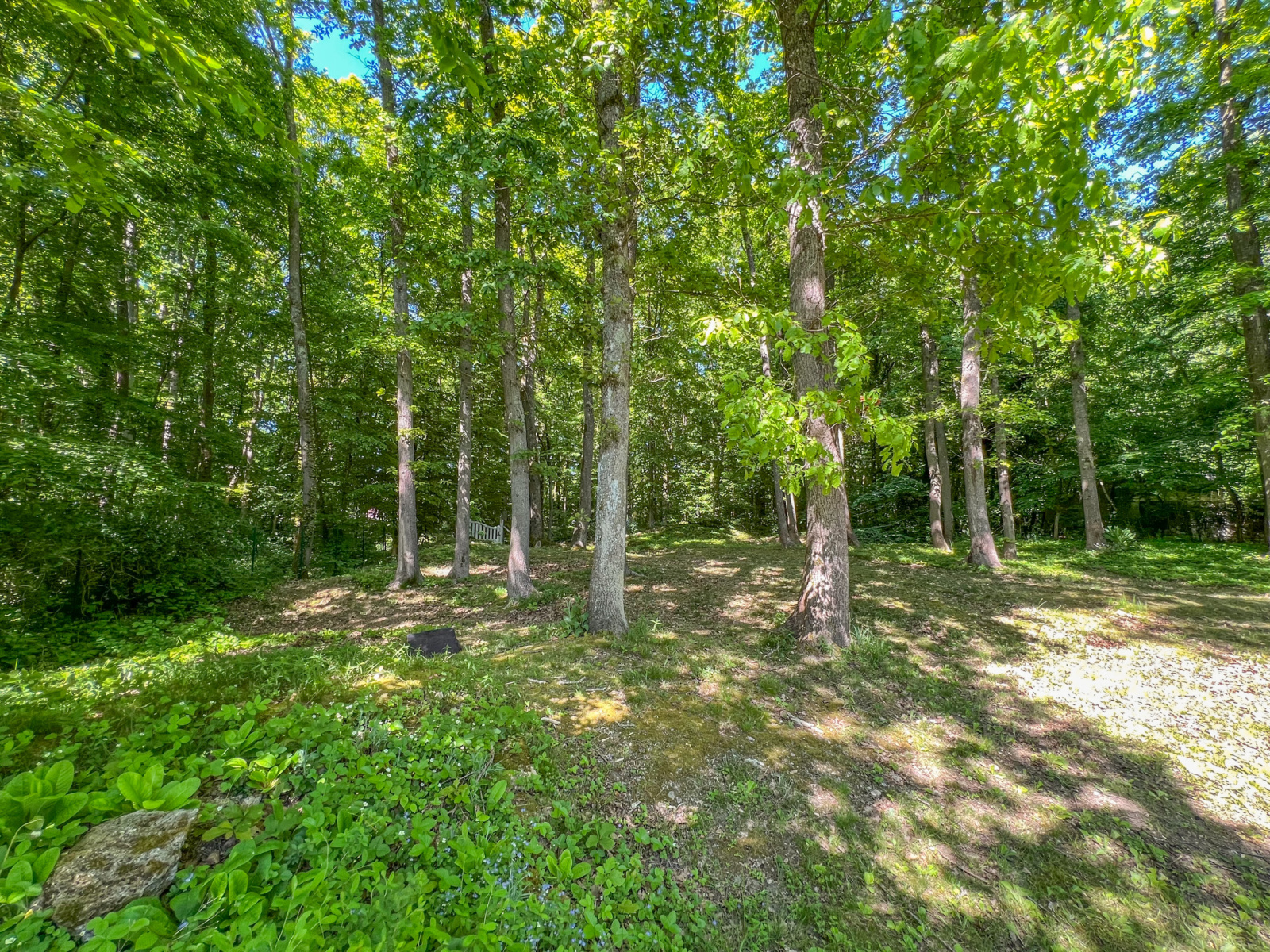 Image_21, Maison, Le Mesnil-Saint-Denis, ref :323 lmsd 1