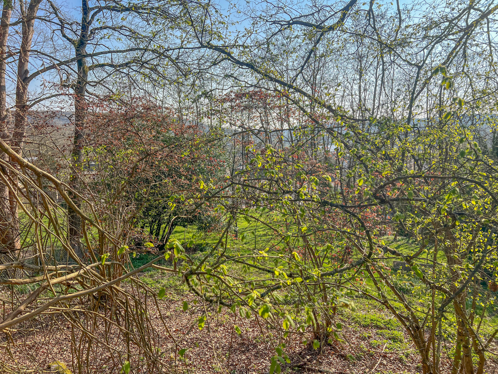 Image_2, Terrain à batir, Saint-Rémy-lès-Chevreuse, ref :321