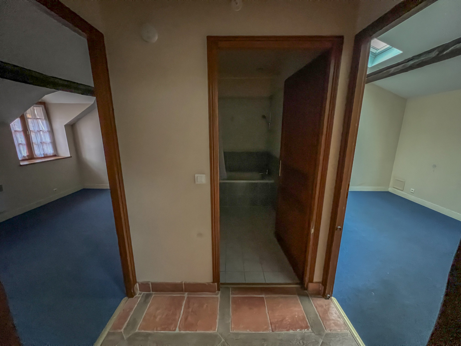 Image_9, Local commercial, Le Mesnil-Saint-Denis, ref :283 lmsd 1