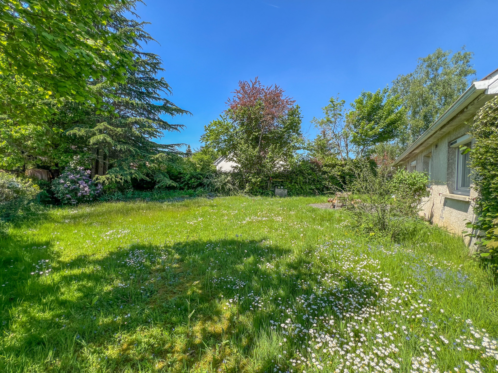 Image_13, Maison, Le Mesnil-Saint-Denis, ref :298 lmsd 7